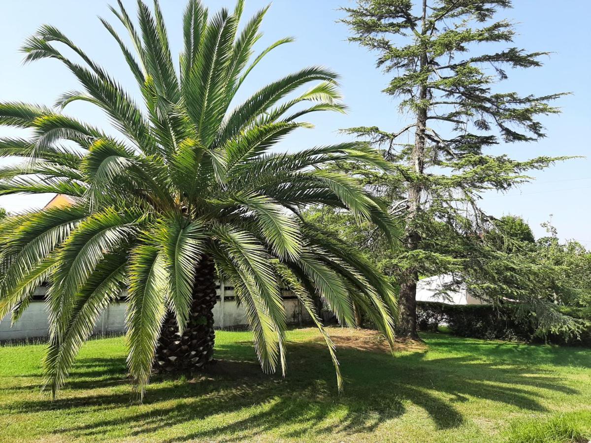 Casa De Verano La Gaviota En Asturias Villaviciosa  Eksteriør billede